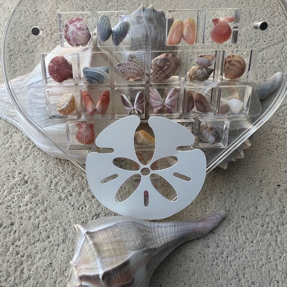 Heart-Shaped Seashell Display - Picture 7 of 8